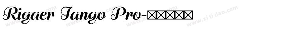 Rigaer Tango Pro字体转换